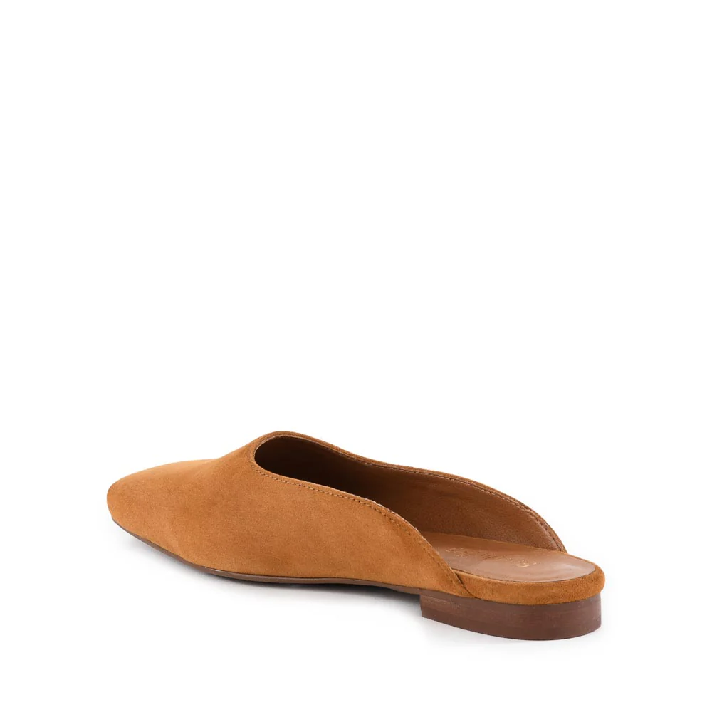 Prim And Proper Mule - Image 12