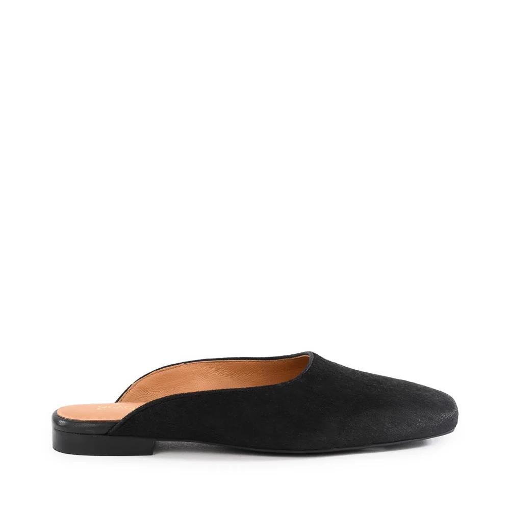 Prim And Proper Mule - Image 14