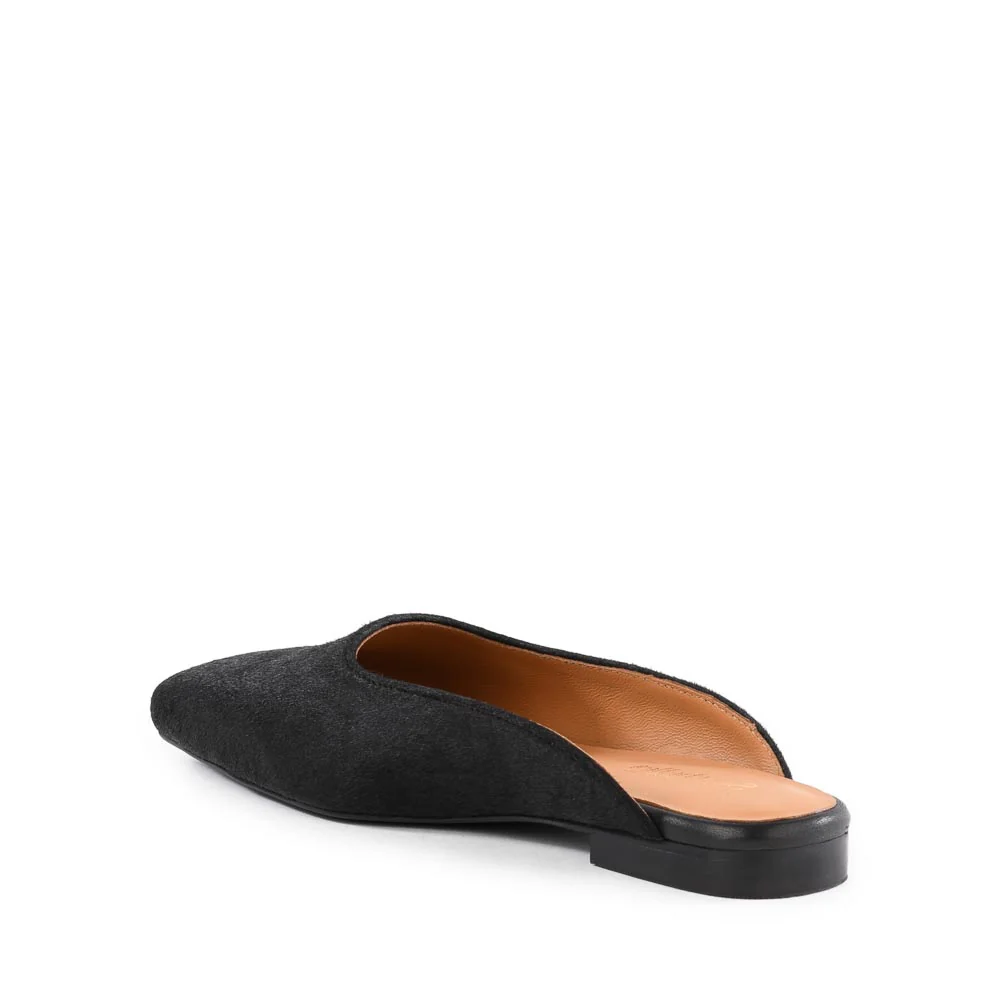 Prim And Proper Mule - Image 16