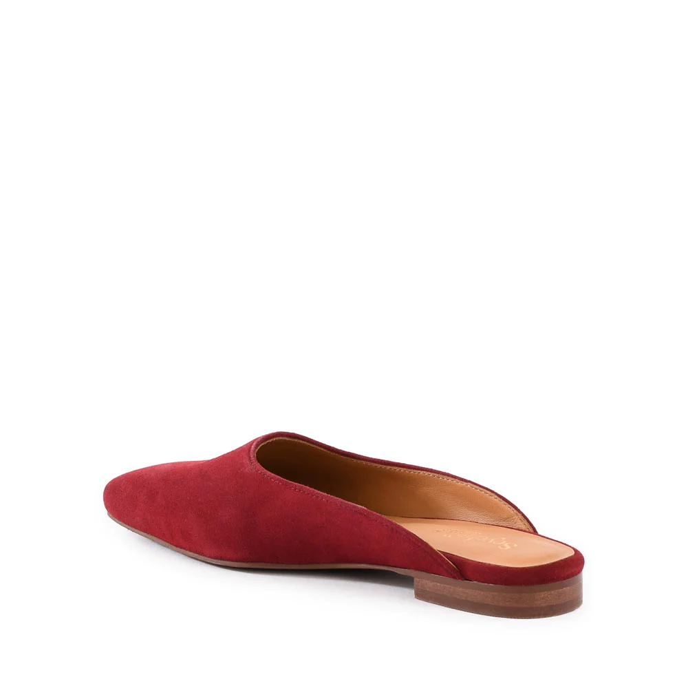 Prim And Proper Mule - Image 3