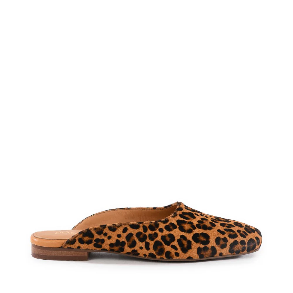 Prim And Proper Mule - Image 5