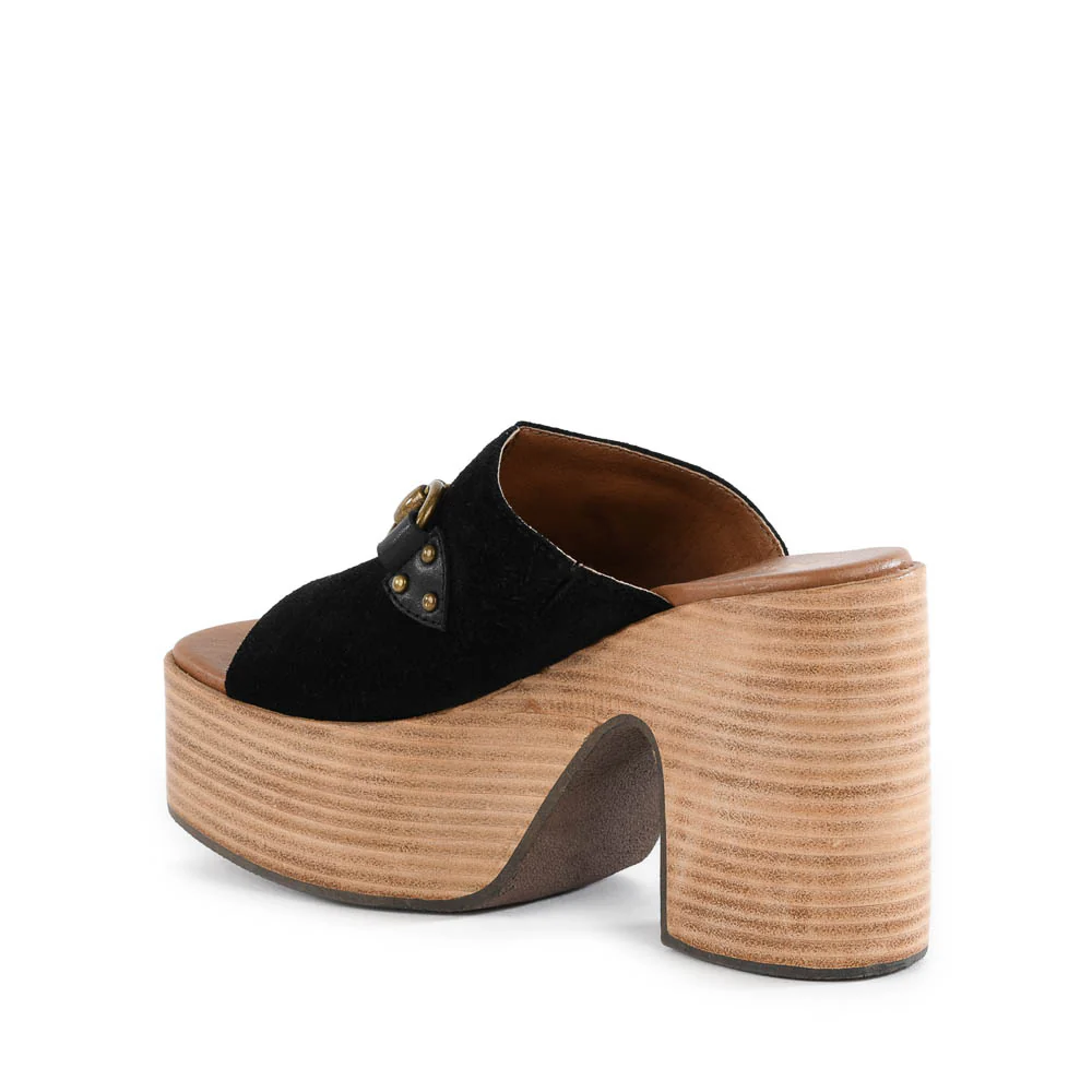 Take The Lead Platform - Image 4