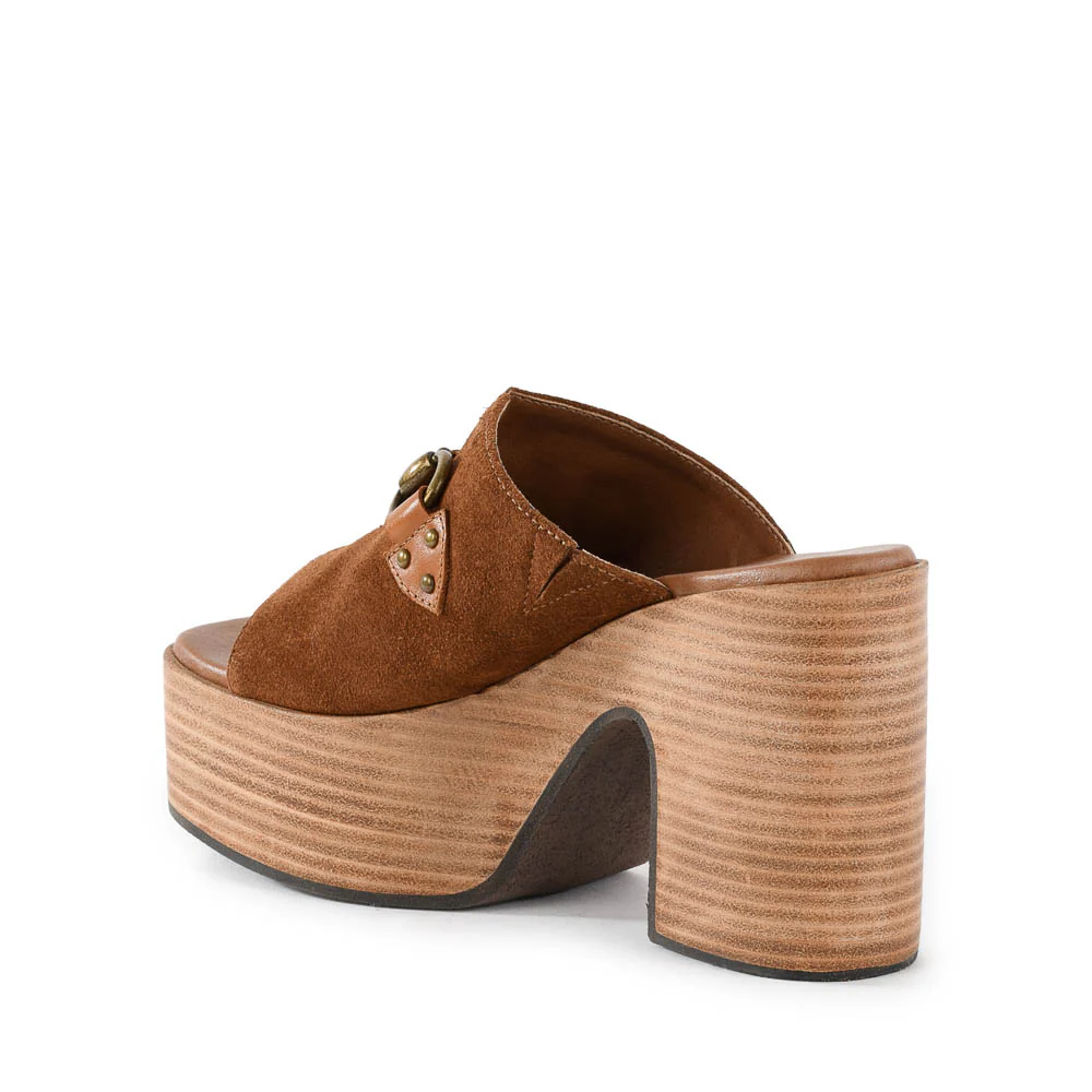 Take The Lead Platform - Image 8